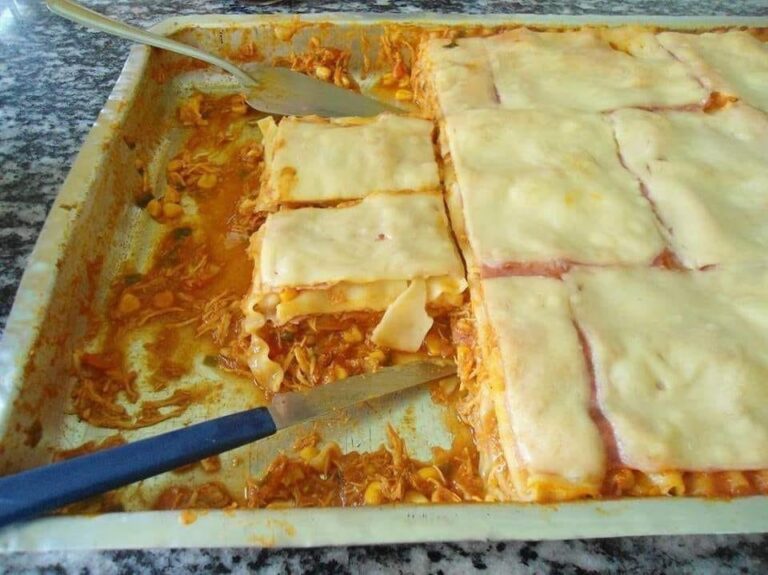 LASANHA DE FRANGO SIMPLES
